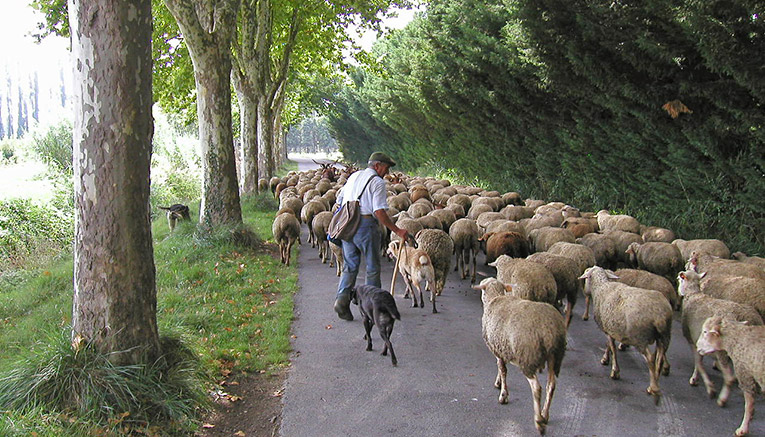 Wpcq-provence-costabrava-walking-6